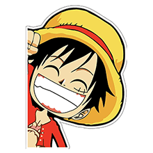 貴公司的定價(jià)水平如何？